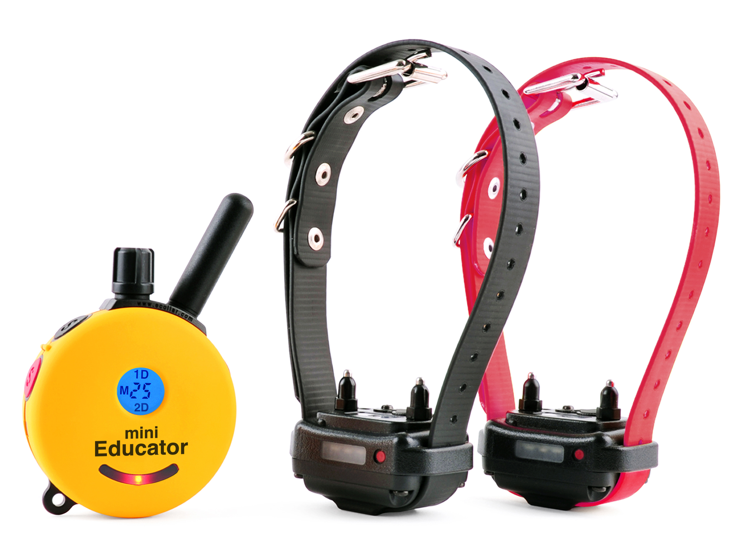 2 Dog Mini Educator E-Collar 1/2 Mile Remote Dog Trainer ET-302 - Dawg