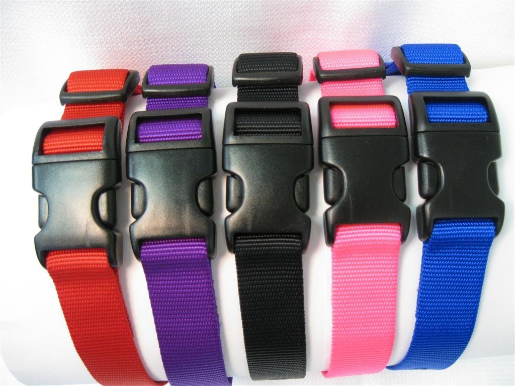 pet stop replacement collar