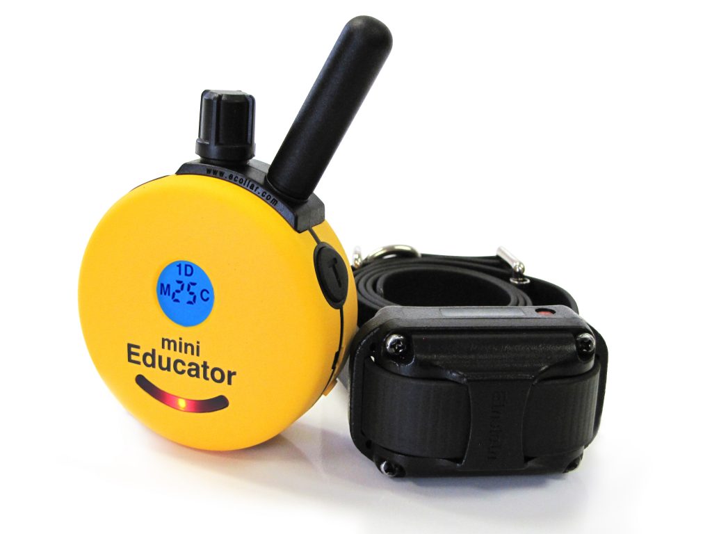 the educator e collar